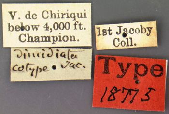 Media type: image; Entomology 18775   Aspect: labels